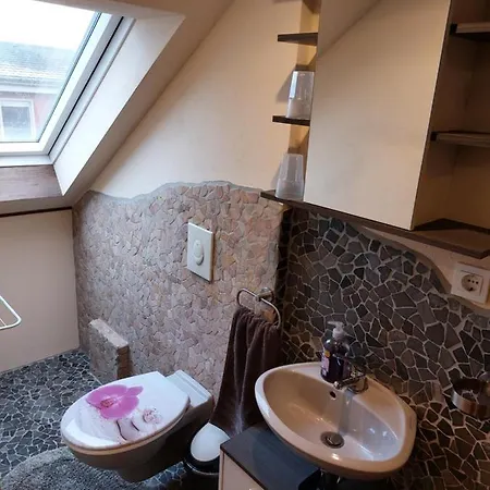Waldquelle Plauen Apartment Exterior photo